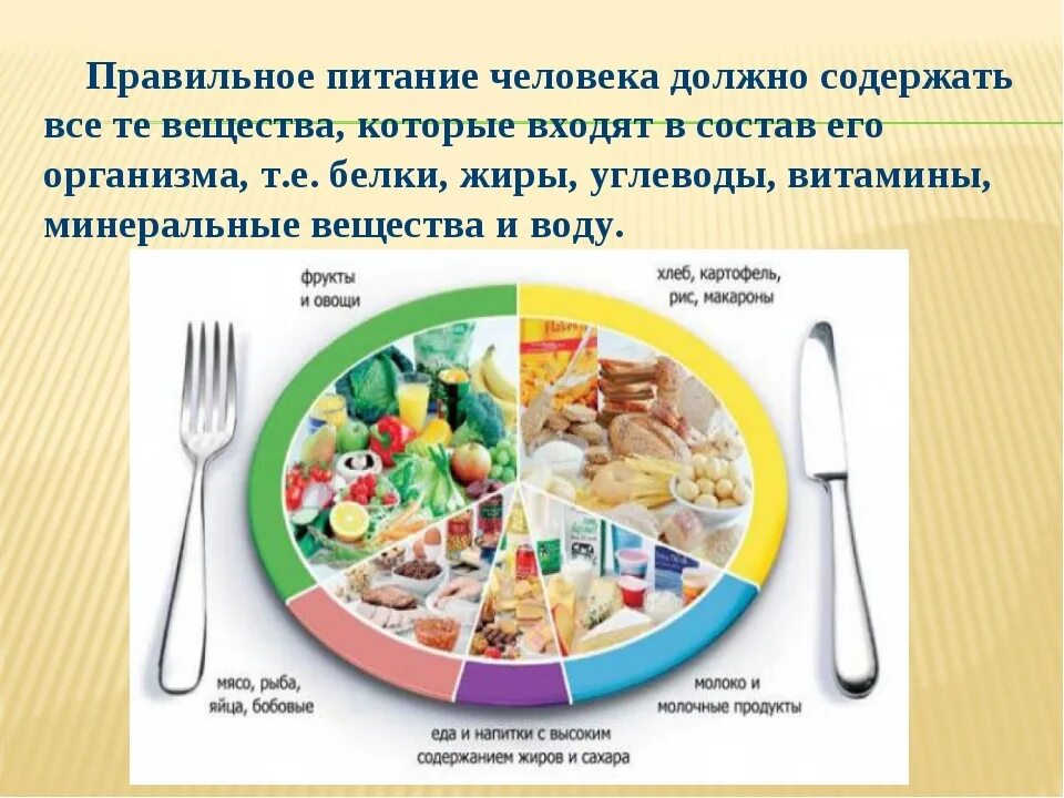 Почему мясо должно присутствовать в рационе. Питание человека. Правильное и здоровое питание. Рацион здорового питания. Проект правильное питание.