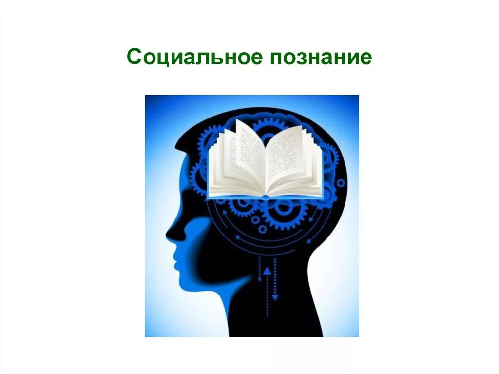Предмет познания социальных наук