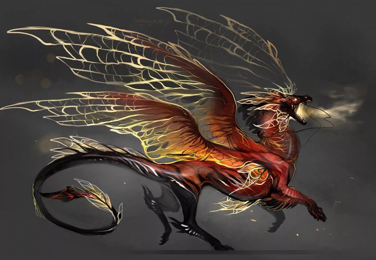 Darenrin Dragon. Darenrin Mayura. Мифические существа. Крылатые существа.