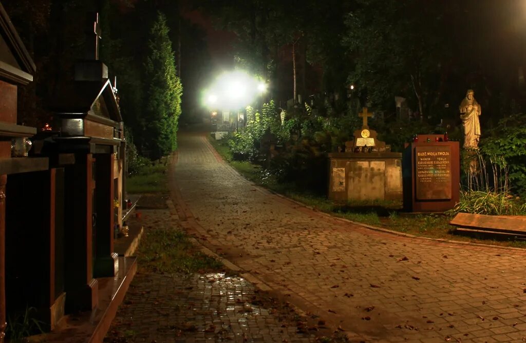 Ночью на кладбище есть. Кладбище ночью. Лычаковское кладбище вход. Об участиисловообраа чепочеа ночь ночной ночлег.