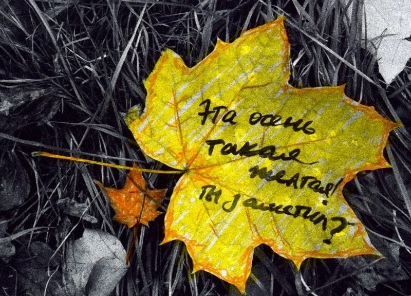 Наступает конец сентября. Осень картинки с надписями. Про осень прикольные. Статусы про осень. Осень цитаты красивые.