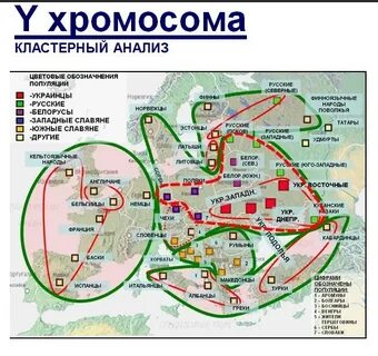 Генетически близкие