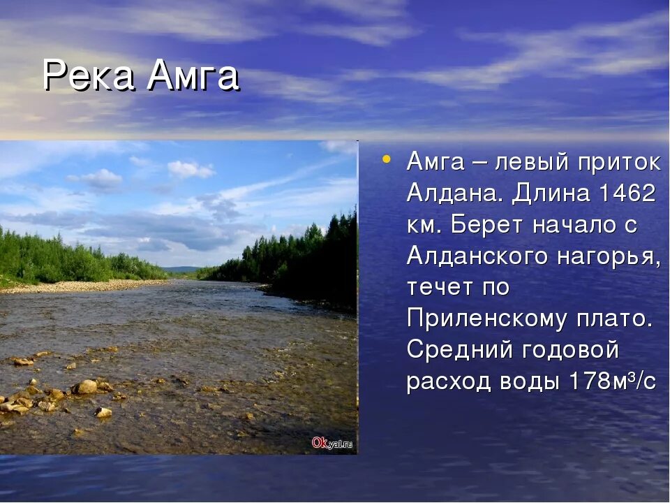В это море впадает река якутии. Исток реки Амга. Река Амга. Исток и Устье реки Алдан. Приток Алдан.