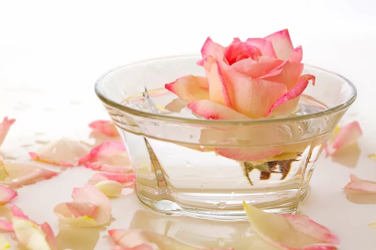 Розы в холодную воду или теплую. Лепестки роз в воде. Чаша с лепестками роз. Лепестки на воде. Розовые лепестки в воде.