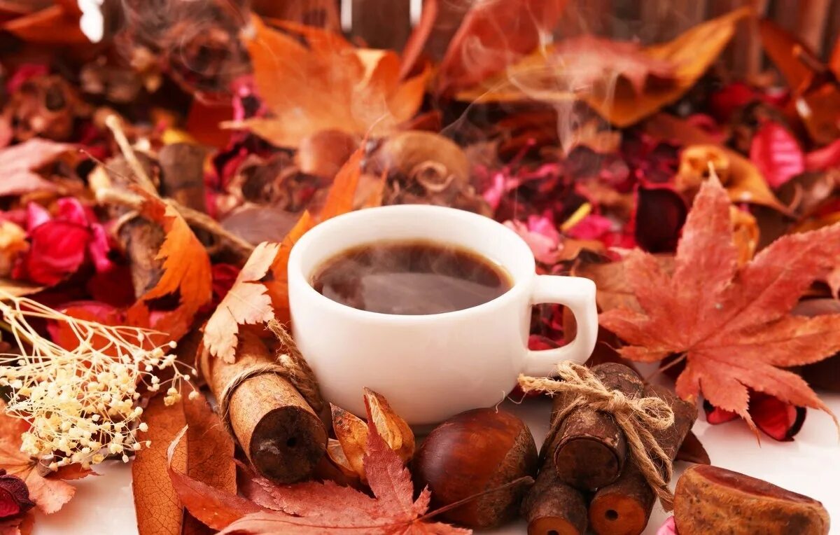Осень горячий кофе. Осенний кофе. Осень кофе. Осеннее чаепитие. Кофе осенью.