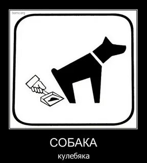 Собак org