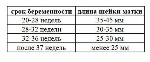 Цервикальный канал сомкнут