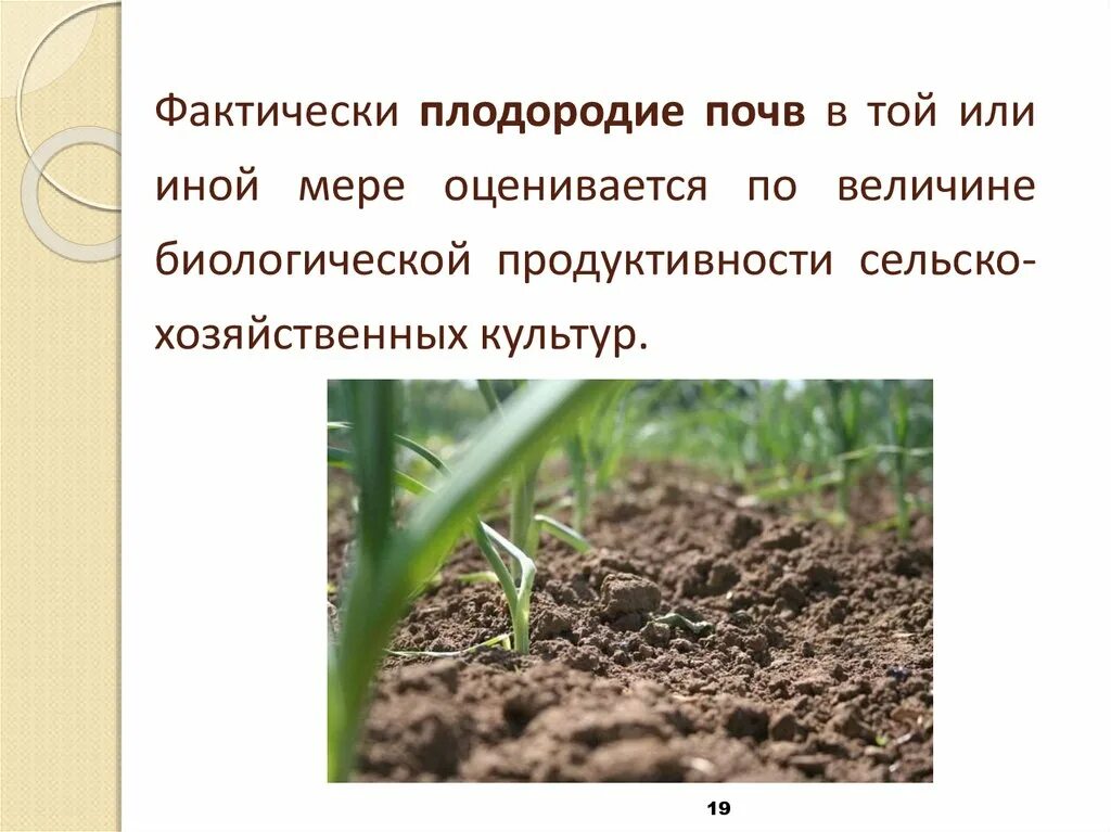 Плодородность почвы. Повышение плодородия почвы. Причины плодородия почв. Плодородие почвы определяется. Плодородие почв при движении к полюсам