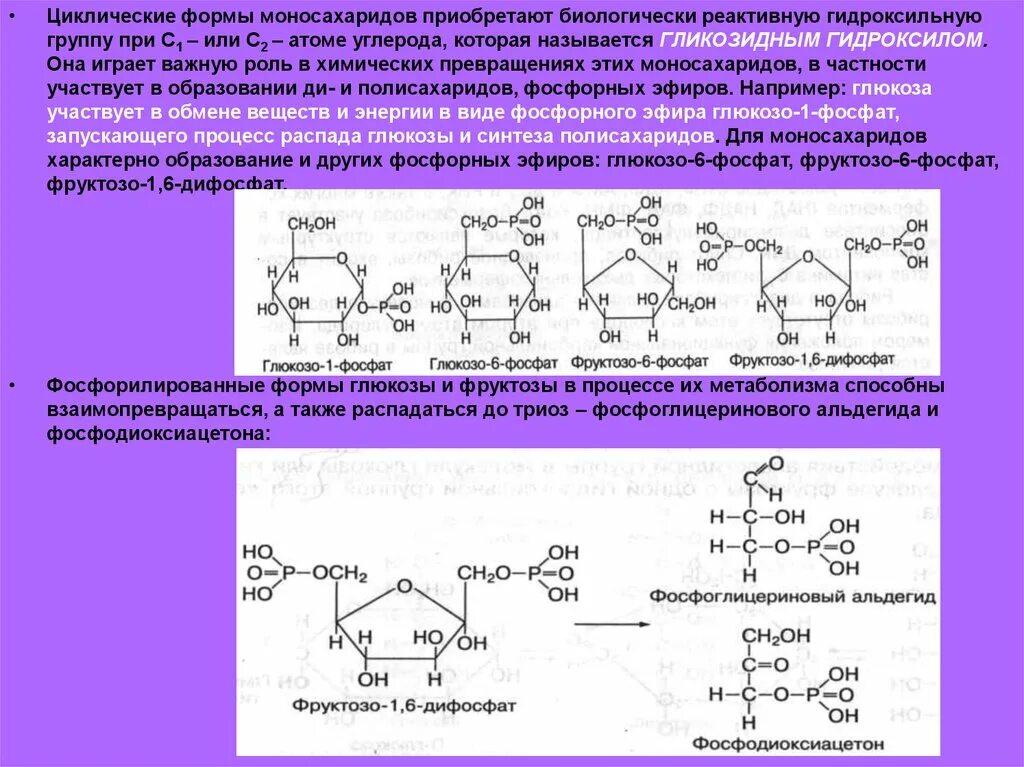 Образование циклической формы Глюкозы. Образование циклических форм моносахаридов. Циклические формы моносахаридов. Циклические формы моноз. Происходят циклические реакции