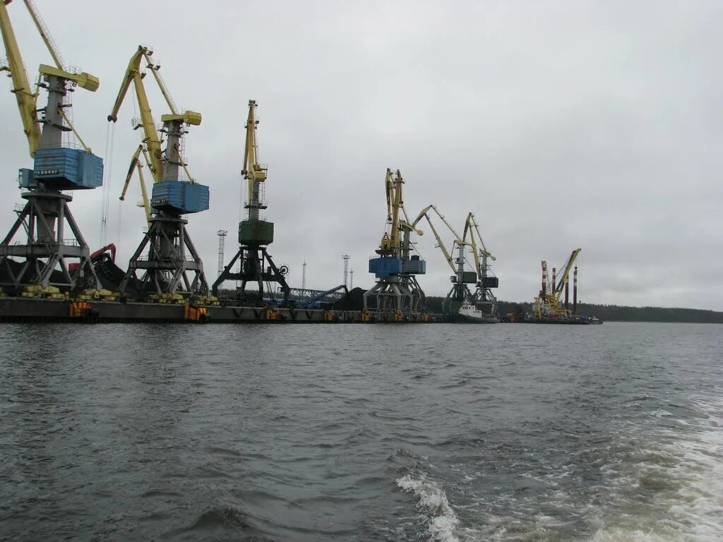 Сайт высоцк. Высоцк город. порт высоцк. остров высоцк.