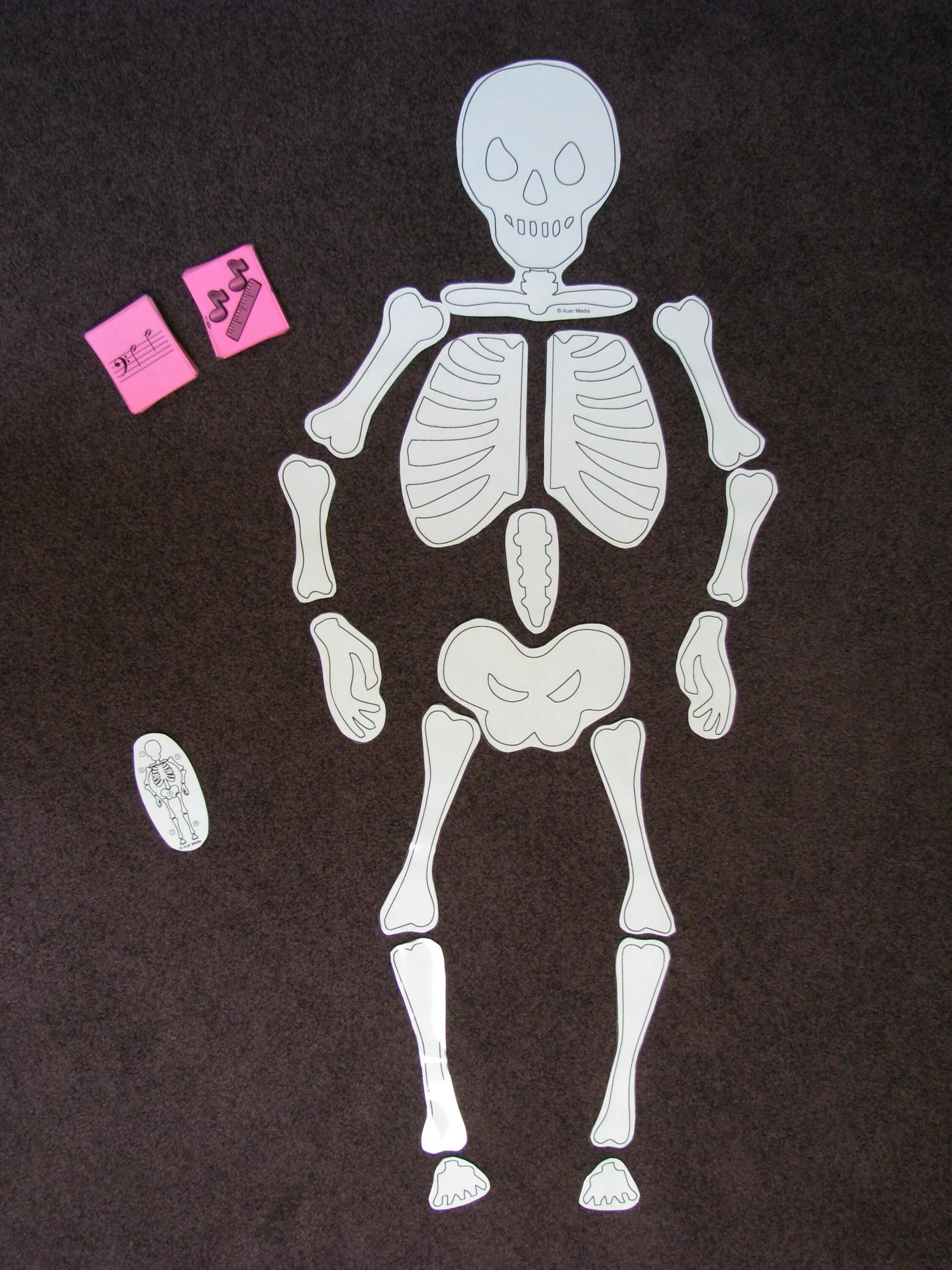 Аппликация скелет. Скелет макет для детей. Скелет человека из бумаги. Бумажные скелеты. Макет скелета на печать.