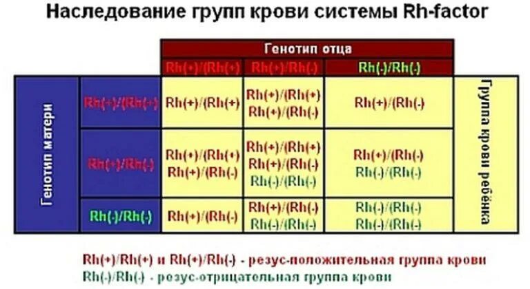 Отцовство по группе крови и резус фактору. Как определить родство по группе крови родителей. Таблица определения родства по группе крови. Отцовство по группе крови родителей таблица.