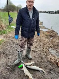 Стрелецкие ручьи рыбалка форум