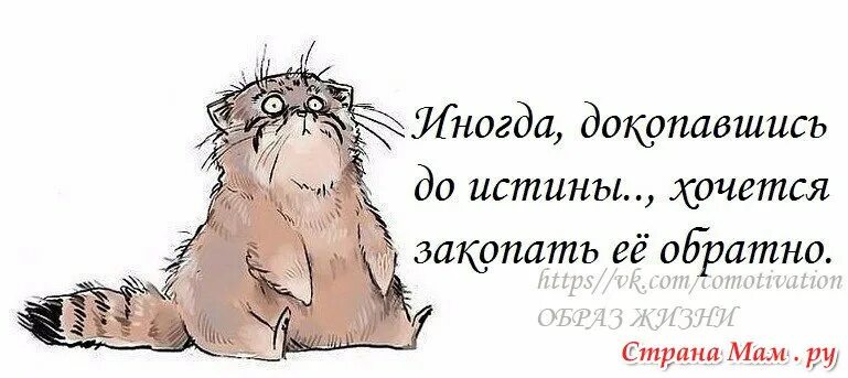 Я ждал всю жизнь я еще подожду. Я жду прикольные. Сижу жду. Жду картинки смешные. Не ждали.