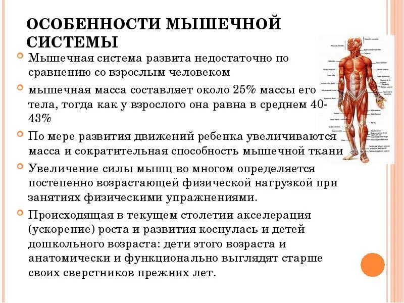 Состояние мышечной системы. Состояние мышечной системы. Мышцы человека презентация. Состояние мышечной системы в норме. Мышечная система органы и функции.