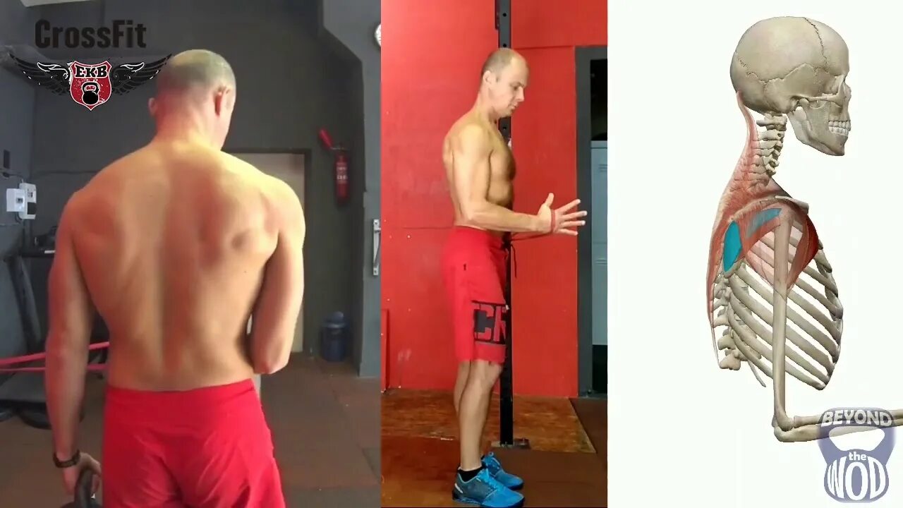 Тренировка ромбовидной мышцы. Ромбовидная мышца упражнения. Тренировка ромбовидных мышц спины. Малая ромбовидная мышца упражнения.