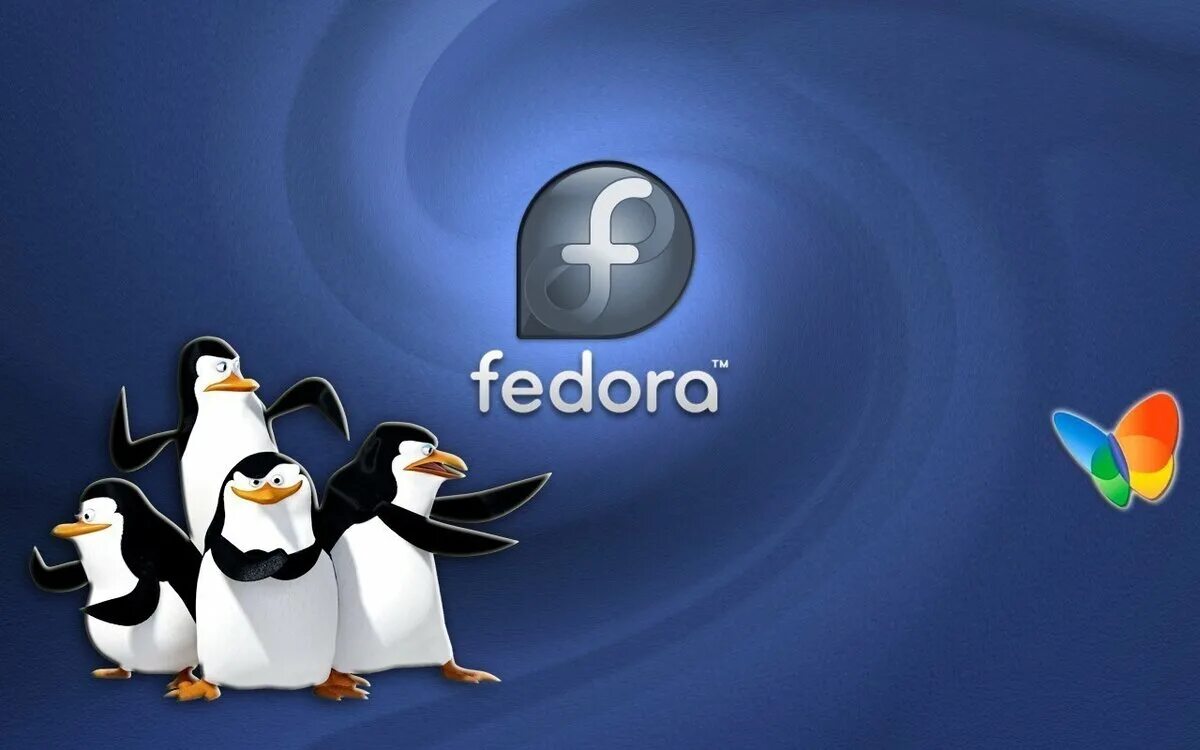 Fedora linux 39. Федора Linux. Дистрибутив Fedora. Дистрибутивы Linux Fedora. Fedora дистрибутив линукс.