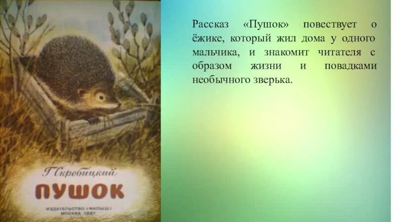 Основная мысль текста ежик. Рассказ г Скребицкого Пушок. Рассказ Георгия Скребицкого Пушок.