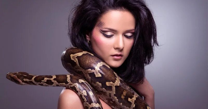 Девушка питона. Красивая девушка со змеей. Фотосессия со змеями. Девушка с удавом. Красивые змеи и женщины.