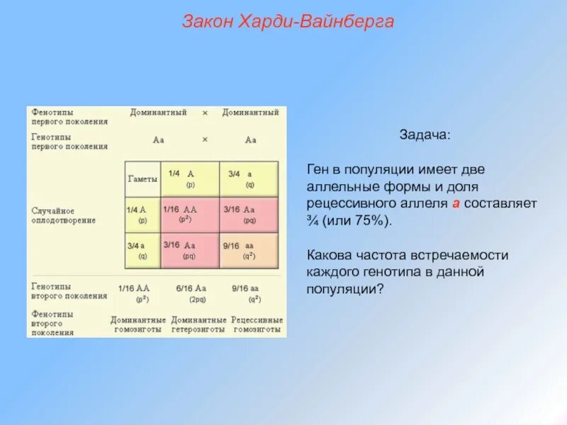 Рассчитайте частоту гомозигот. Частота аллелей в популяции. Частота встречаемости генотипа. Частота встречаемости рецессивного аллеля в популяции. Закон Харди Вайнберга.