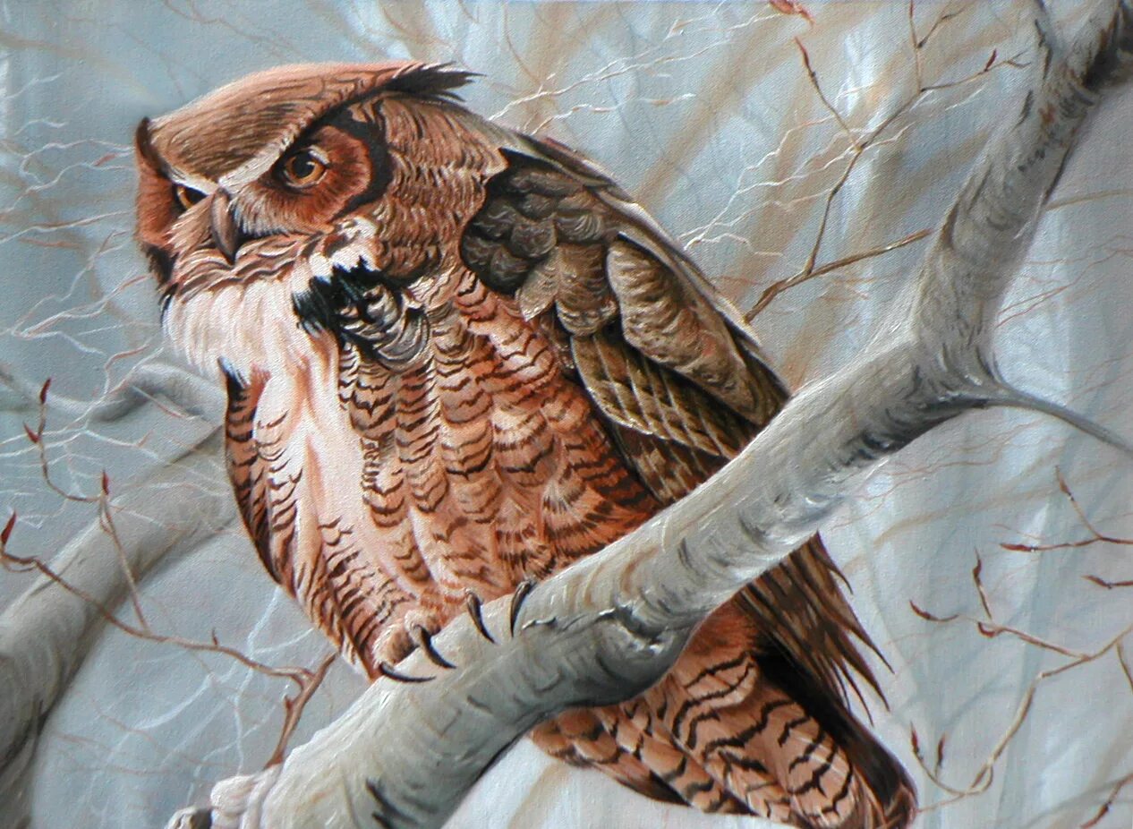 Рысь сова. Robert Bateman Сова. Совушки - художник Robert Bateman.