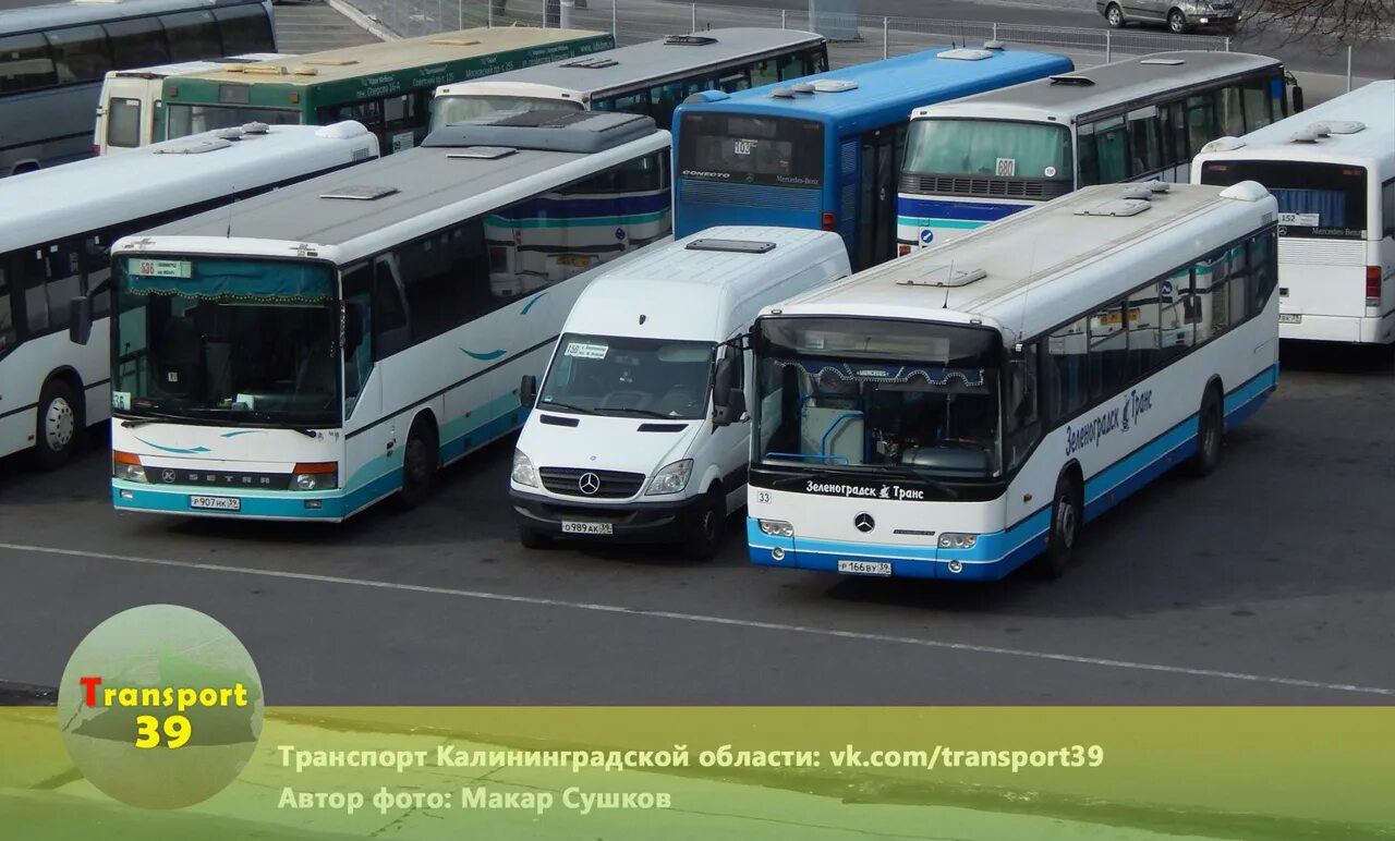 11 автобус калининград маршрут. Автобусы калининград. транспорт калининградской области. калининградский район транспорт. транспорт 39.