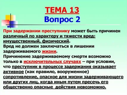Действия при задержании правонарушителя