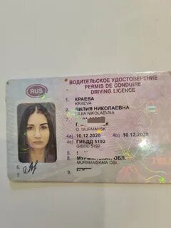 Страны венской конвенции о дорожном