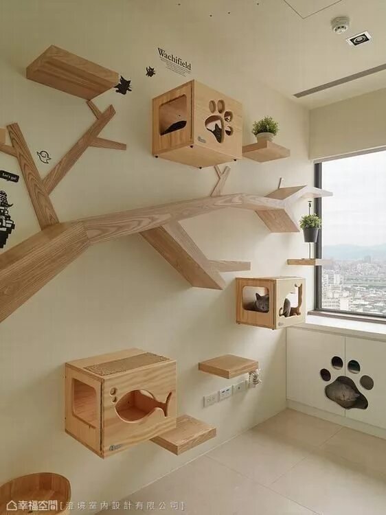 Cat playground