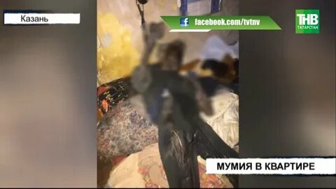 Четыре года спала с мумией своего мужа