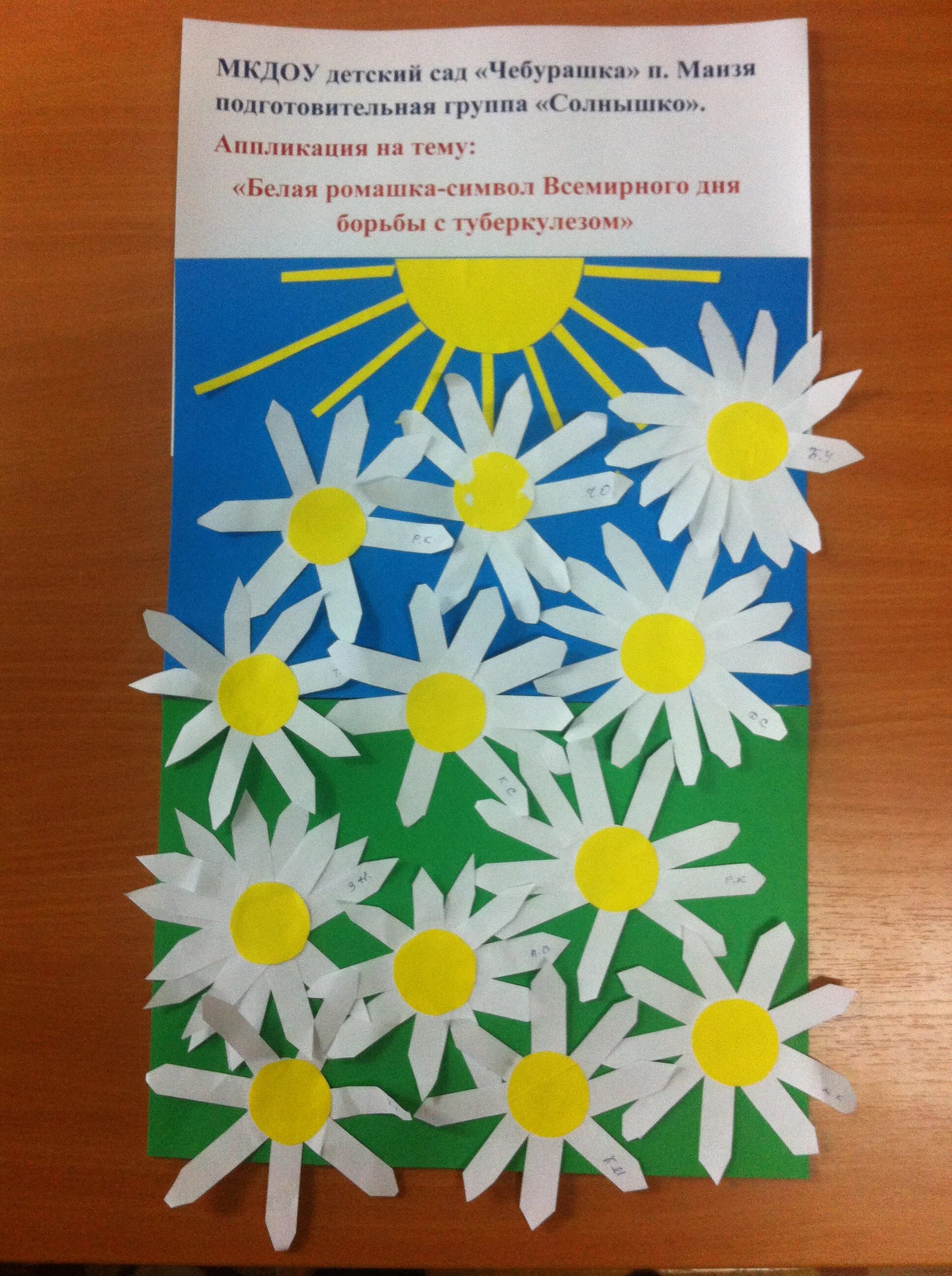 День туберкулеза в детском саду. Аппликация Ромашка в младшей группе. Аппликация Ромашка в подготовительной группе. Аппликация Ромашка в средней группе. Ромашка символ борьбы с туберкулезом.