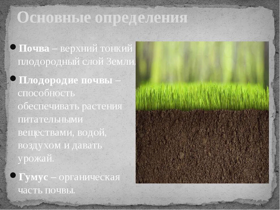 Почва обеспечивает
