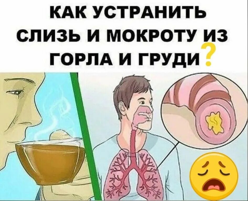 Как избавиться от мокроты без кашля. Как избавиться от мокроты.