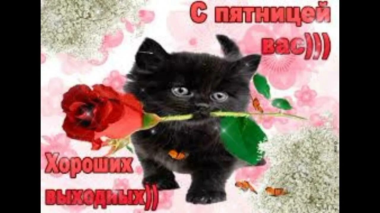 Пятница приятных выходных. Пятница. с пятницей вас. с пятницей вас друзья. с пятницей дорогие друзья.