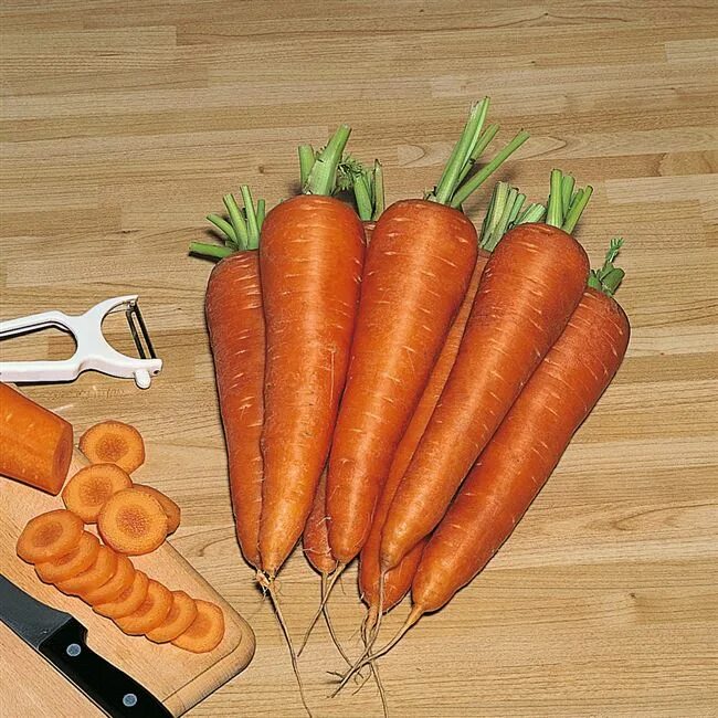 Любит ли морковь. Морковь Карсон f1. Семена моркови Карсон. Морковь сорт Карсон. Морковь 1с семена.