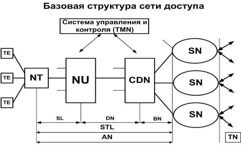 Модель сетей доступа. Сети доступа. Структурная схема сети абонентского доступа. Типовые структуры сети доступа. Базовая сеть.