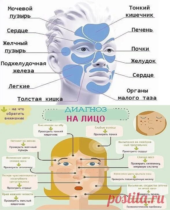 Прыщи на лбу какой орган у женщин. Карта прыщиков на лице. Карта лица высыпания на лице. Схема прыщей на лице. Прыщи на лице по зонам причины.