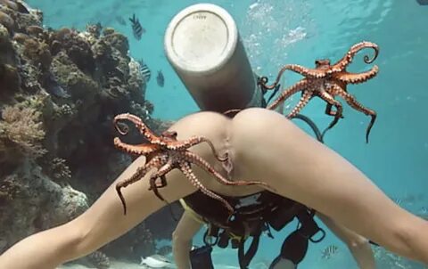Sex with octopus : Octopus nude - Best adult videos and photos.
