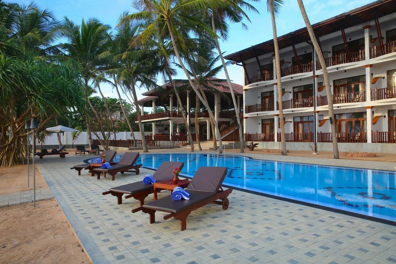 Палм шри ланка. Шри Ланка Бентота отель the Palms. The Palms 4* Берувел. Индурува Шри Ланка. Whispering Palms 4 Шри Ланка.