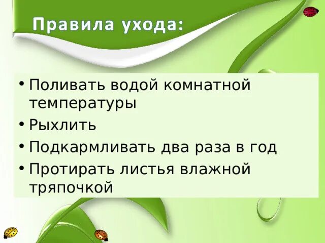Презентация декоративное цветоводство 7 класс. Презентация 7 класс. растения города особенность городской флоры презентация. растения и человек 7 класс биология. презентация растение в банке.