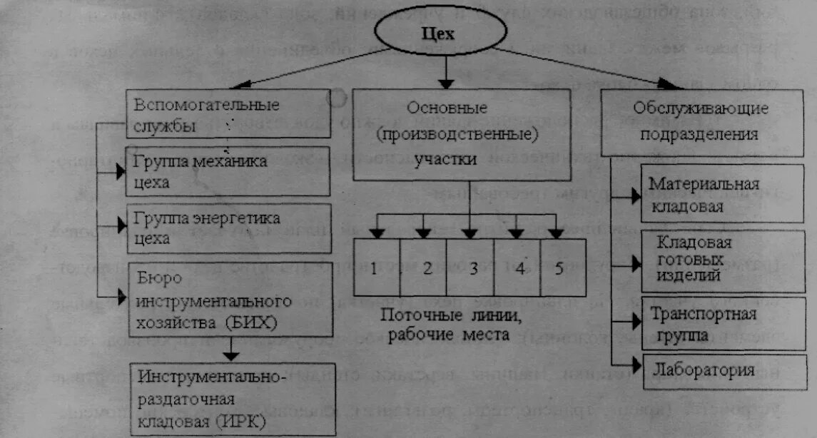 Схема производственной структуры цеха. Структура производственных подразделений цехового предприятия. Схема производственного цеха на предприятии. Структура производственного участка.