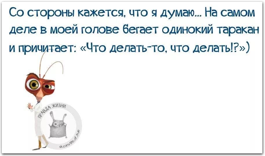 Отсутствие тараканов в голове 11 букв