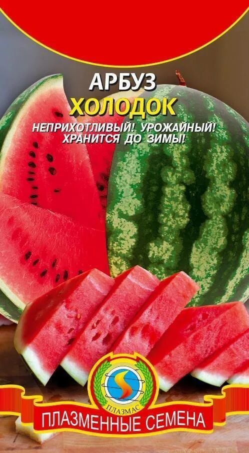 Арбуз сорт холодок. Сорт арбуза холодок. гавриш арбуз холодок. астраханский сорт арбуза холодок. арбуз холодок плазмас.