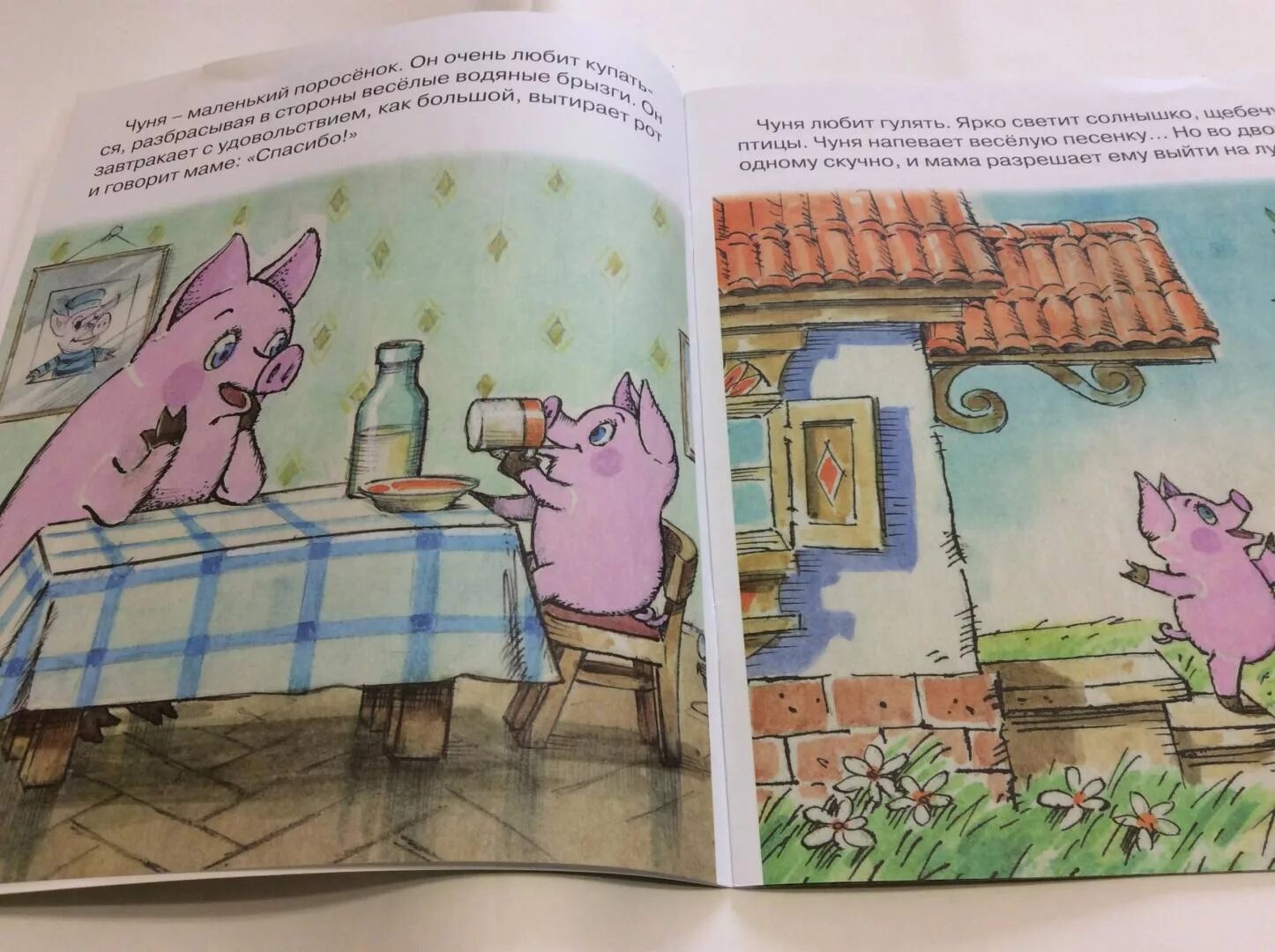 Свинка чуня книжка. Чуня детская книжка. Сказку чуня. Сказку чуня. Чуня е карганова.