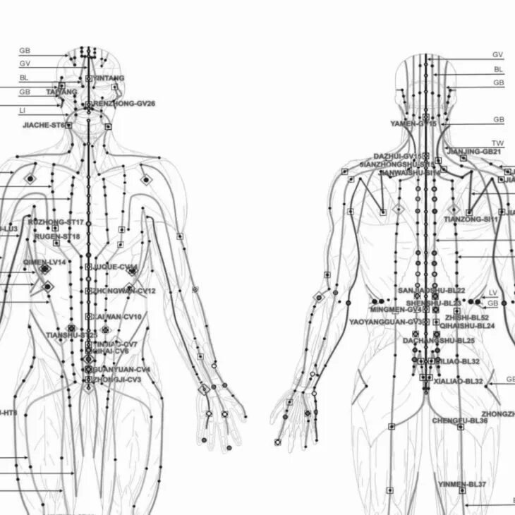 Меридианы человека китайская. 12 Меридианов в китайской медицине. 12 Меридианов человека схема и направления. Меридианы в китайской медицине схема. Энергетические меридианы человека схема.
