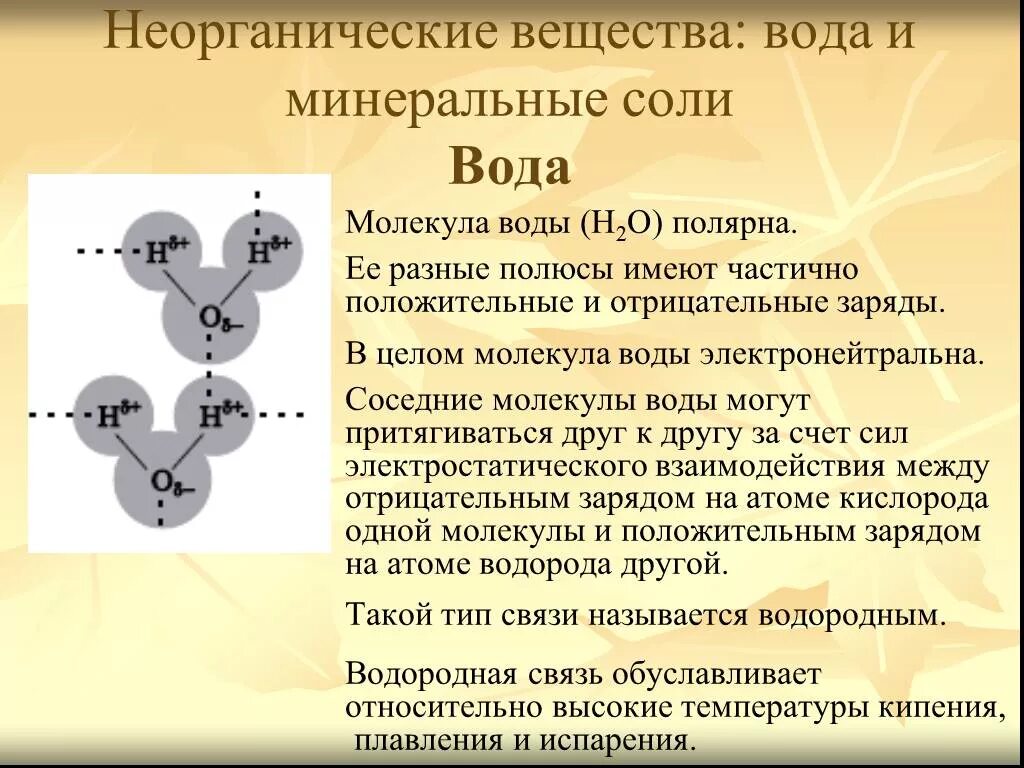 Минеральные вещества вода тест. Неорганические вещества вода соли 10 класс биология. Неорганические вещества вода соли. Неорганические вещества вода Минеральные соли. Минеральные вещества это неорганические вещества.