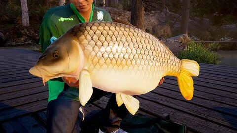 Fishing c