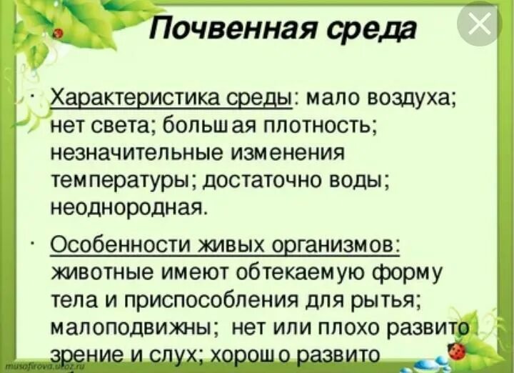 Почва свойства среды