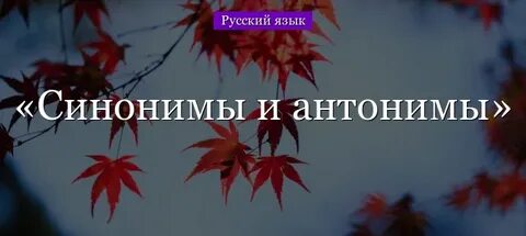 Как объяснить что такое синонимы и антонимы