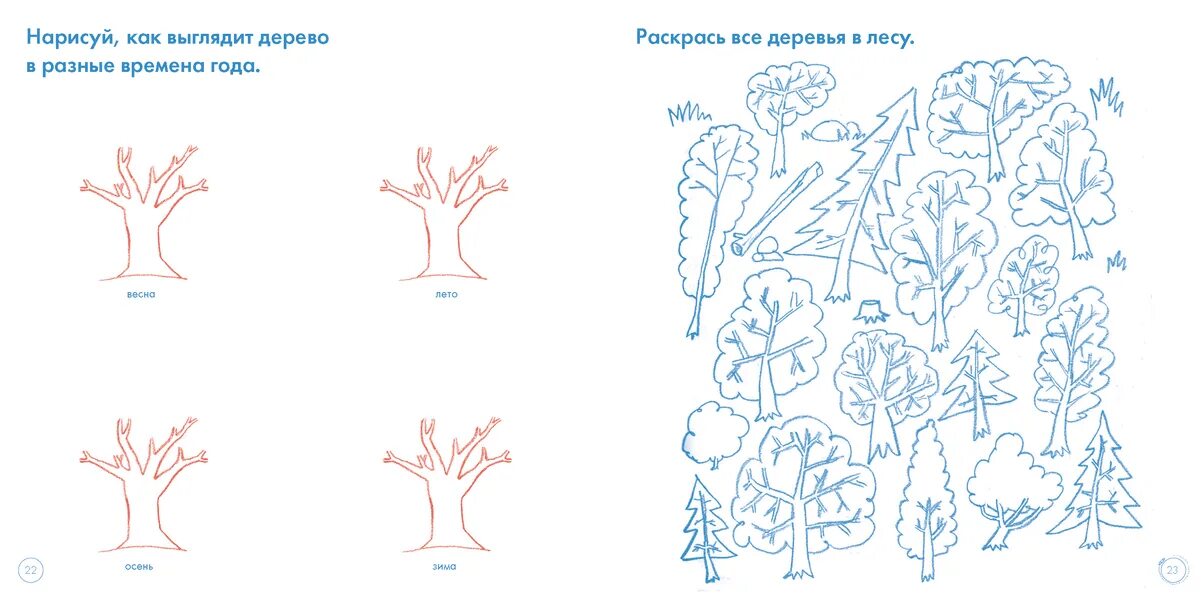 Человек какой он практическое занятие рабочий лист. Деревья и кустарники задания для дошкольников. лиственные деревья задания для дошкольников. деревья и кусты задания для дошкольников. кустарники задания для дошкольников.